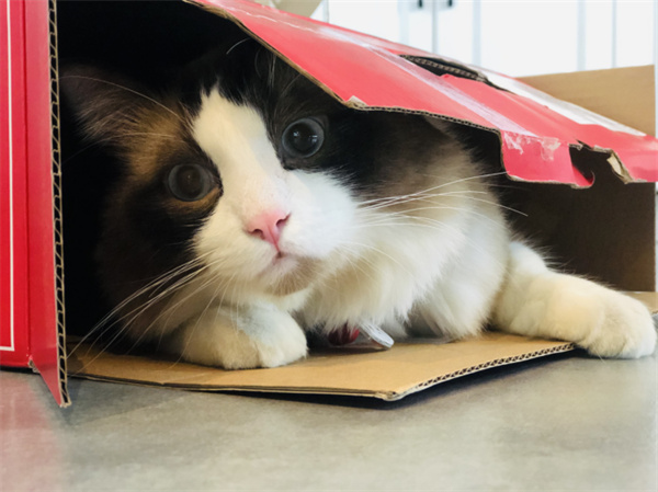 火星电竞·(中国区)有限公司官网