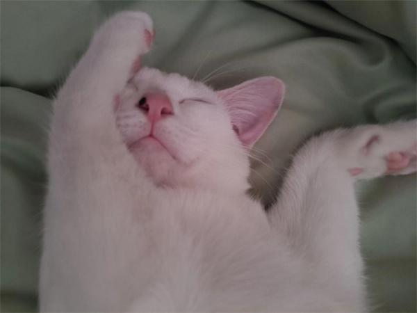 火星电竞·(中国区)有限公司官网