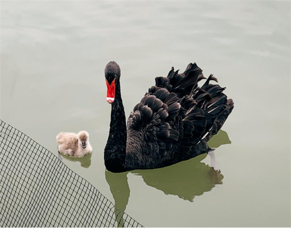 火星电竞·(中国区)有限公司官网