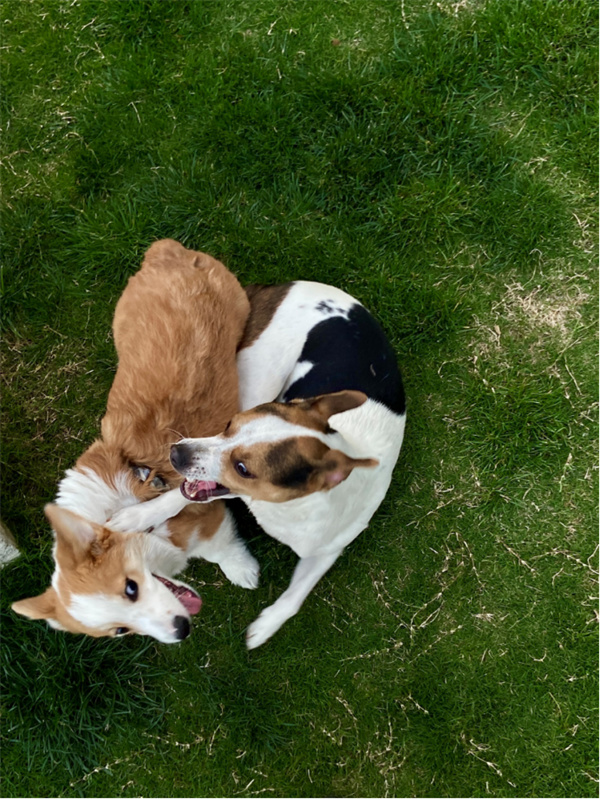 火星电竞·(中国区)有限公司官网