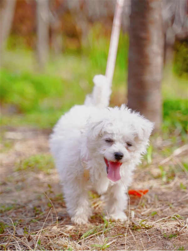 火星电竞·(中国区)有限公司官网