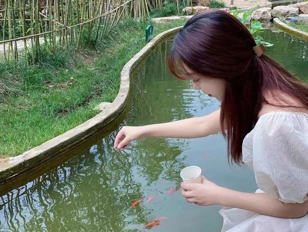 火星电竞·(中国区)有限公司官网