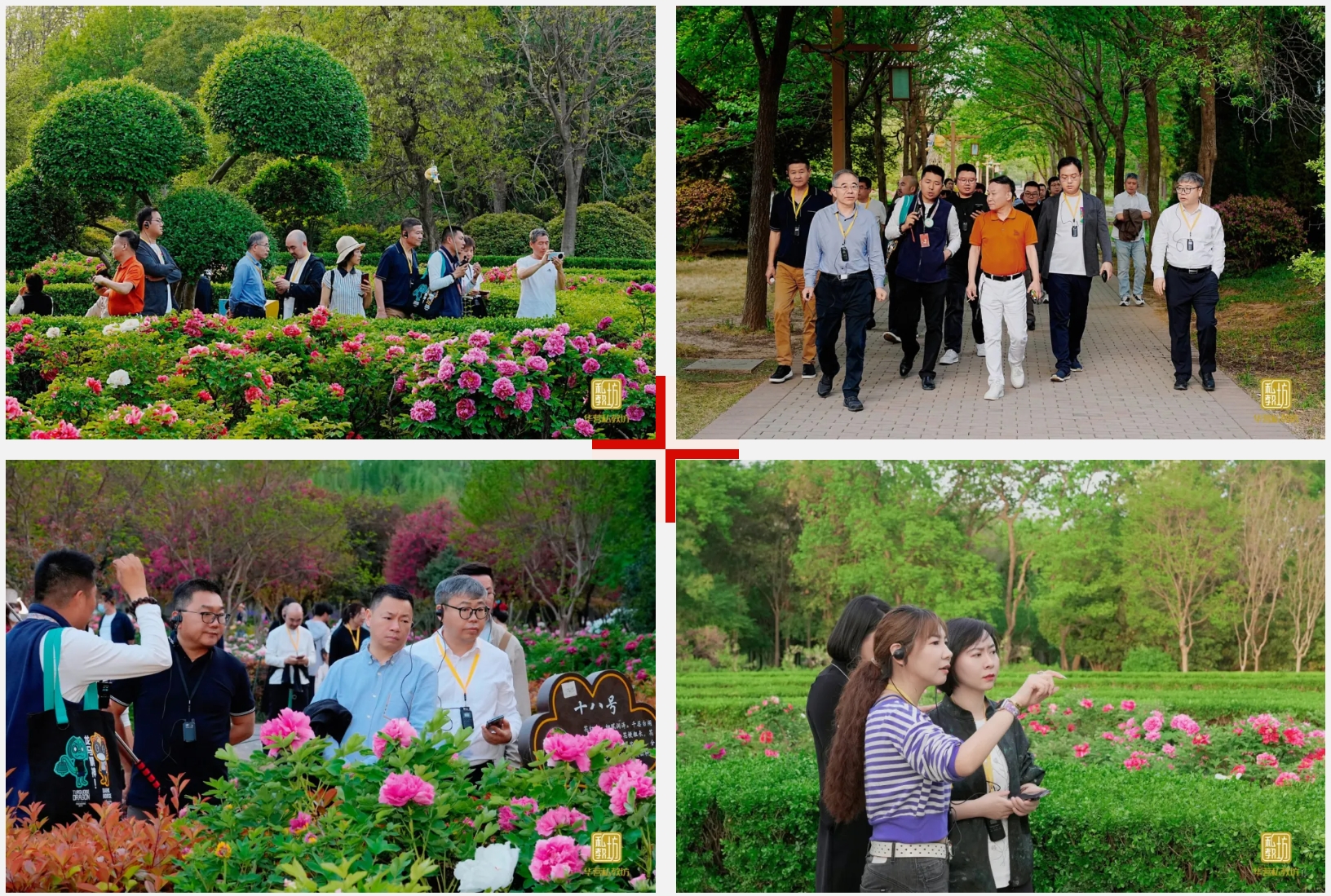 火星电竞·(中国区)有限公司官网